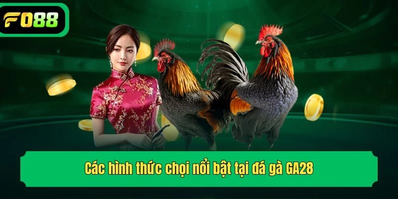 Các hình thức chọi nổi bật tại đá gà GA28
