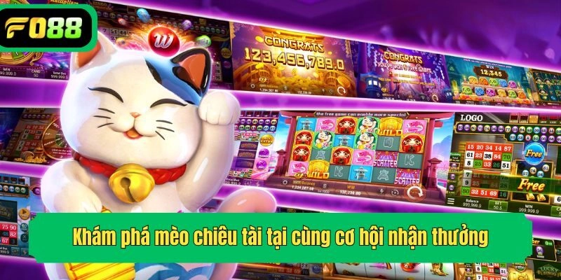 Khám phá mèo chiêu tài tại cùng cơ hội nhận thưởng