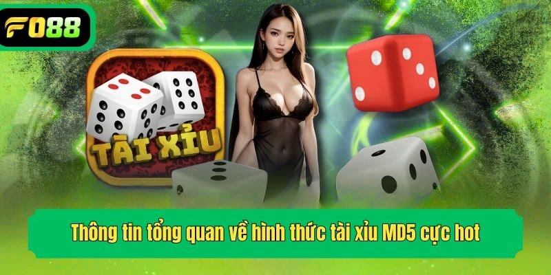 Thông tin tổng quan về hình thức tài xỉu MD5 cực hot