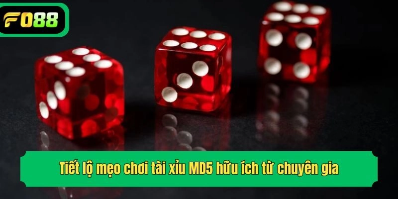 Tiết lộ mẹo chơi tài xỉu MD5 hữu ích từ chuyên gia